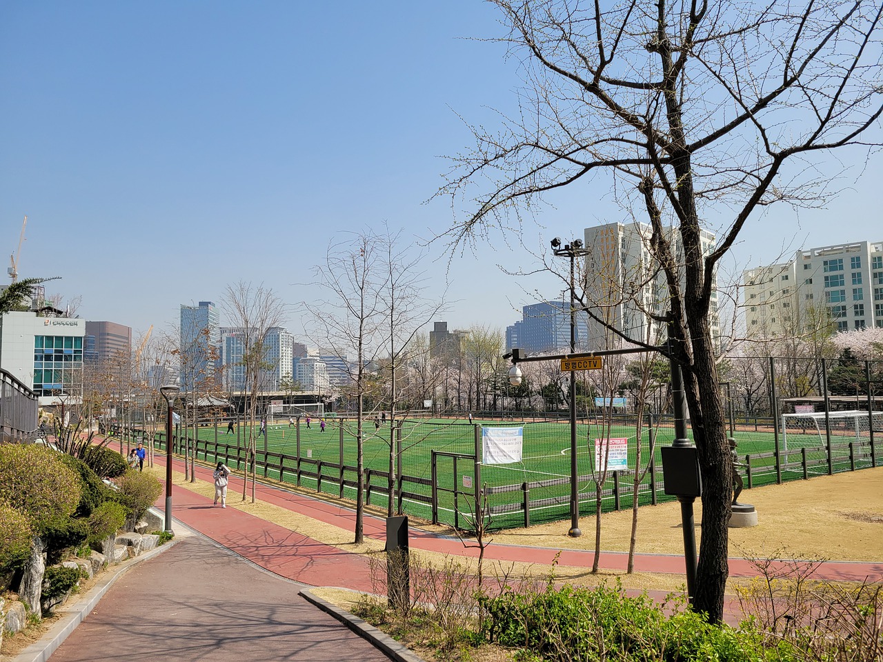 勇士球员得分效率高，命中率稳定