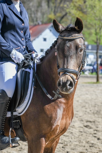 喀麦隆体育部长与足协主席埃托奥决裂，前者指责后者操纵选举